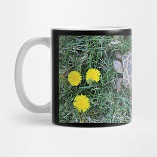 Tortoise and Dandelions Mug